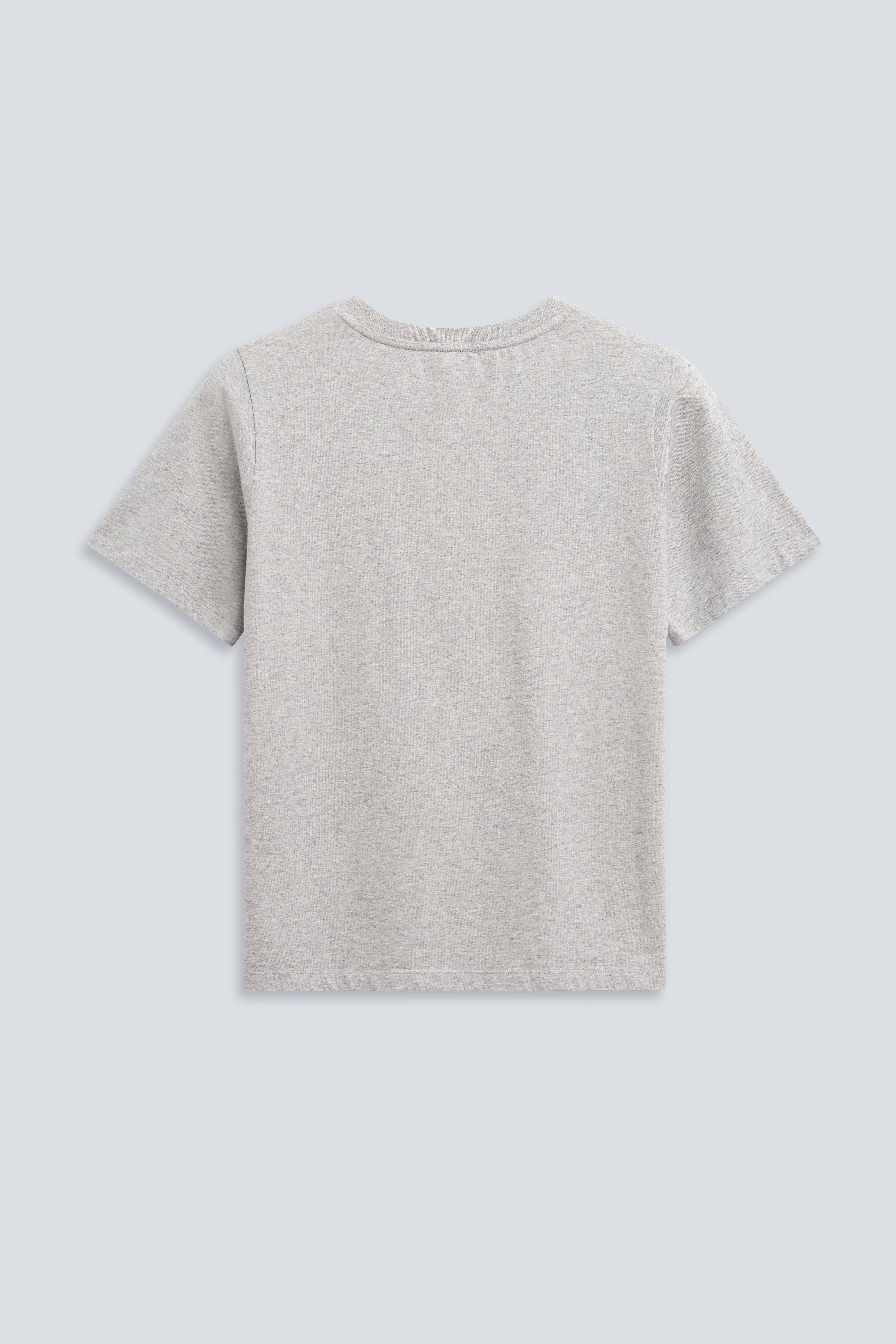 The Jill in Grey Melange. Crew-neck tee. 180 grams, 100% organic cotton. Back view.