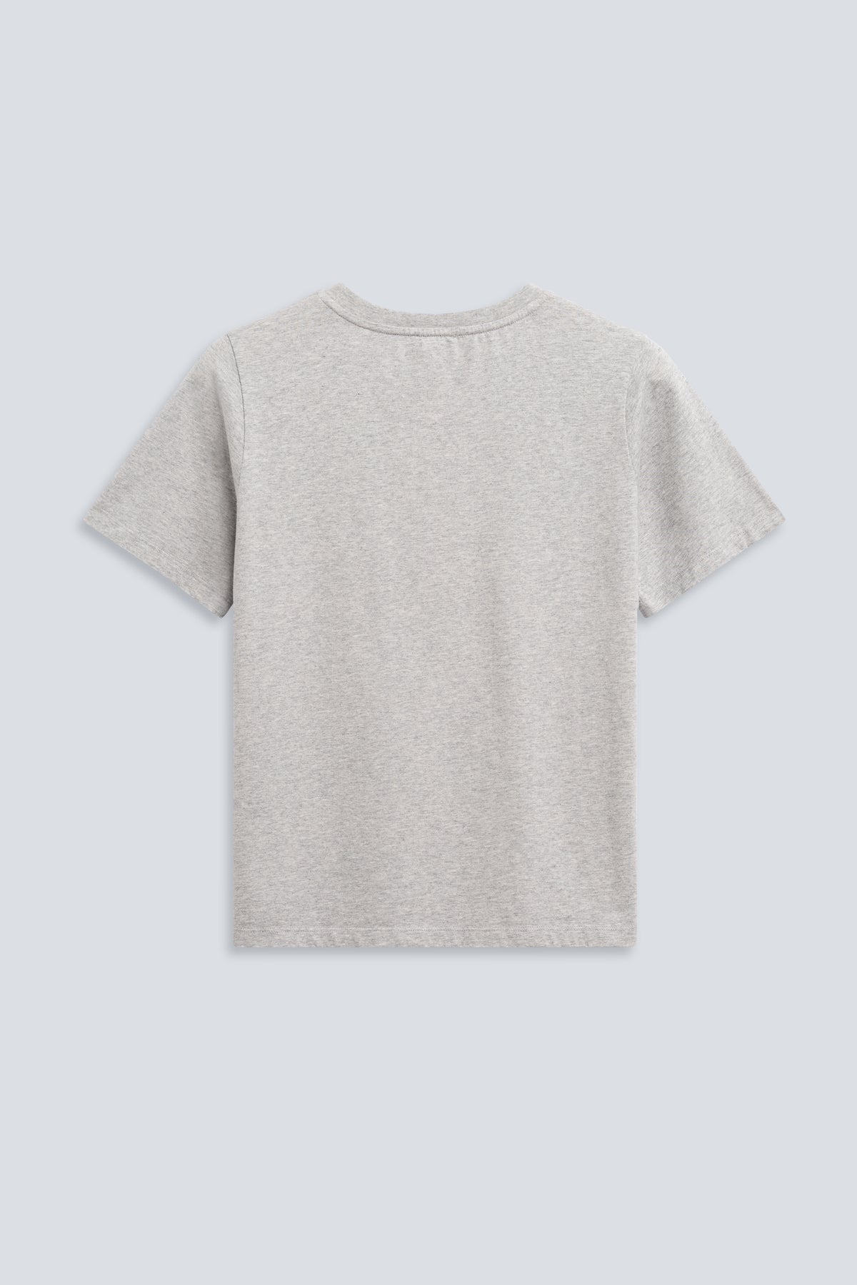 Schweres Rundhals-T-Shirt in Grey Melange. Rückansicht.